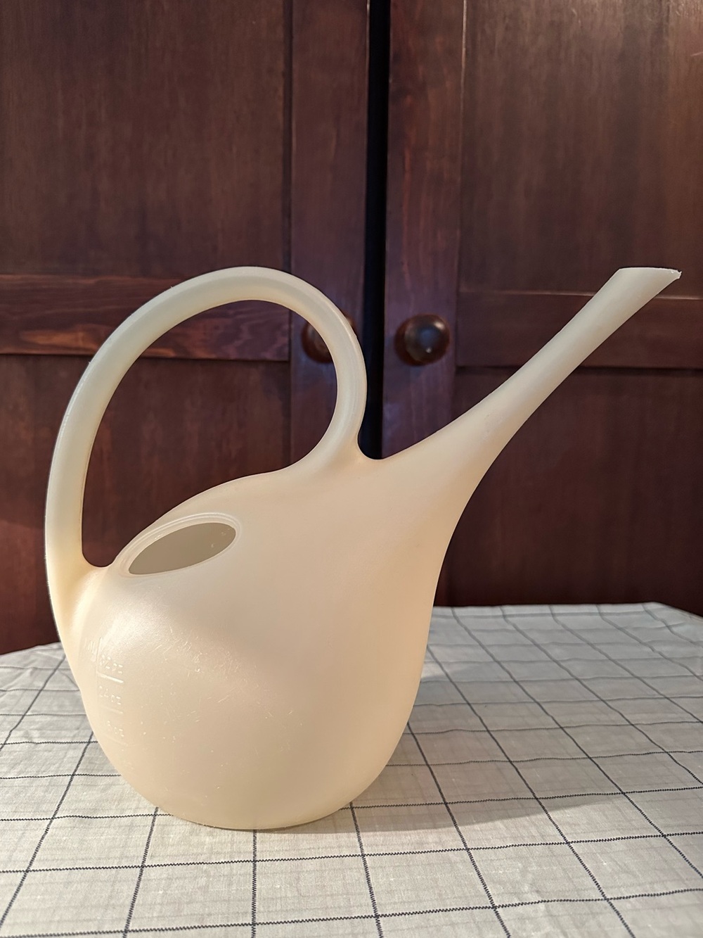 Vintage • plastic • watering can